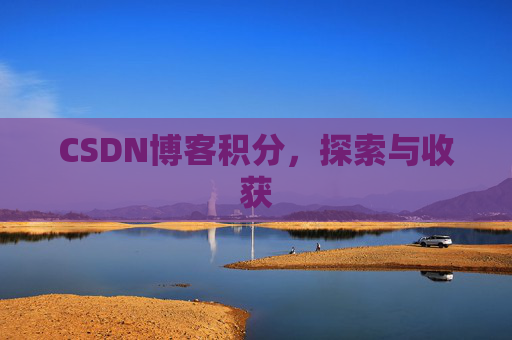 CSDN博客积分,探索与收获